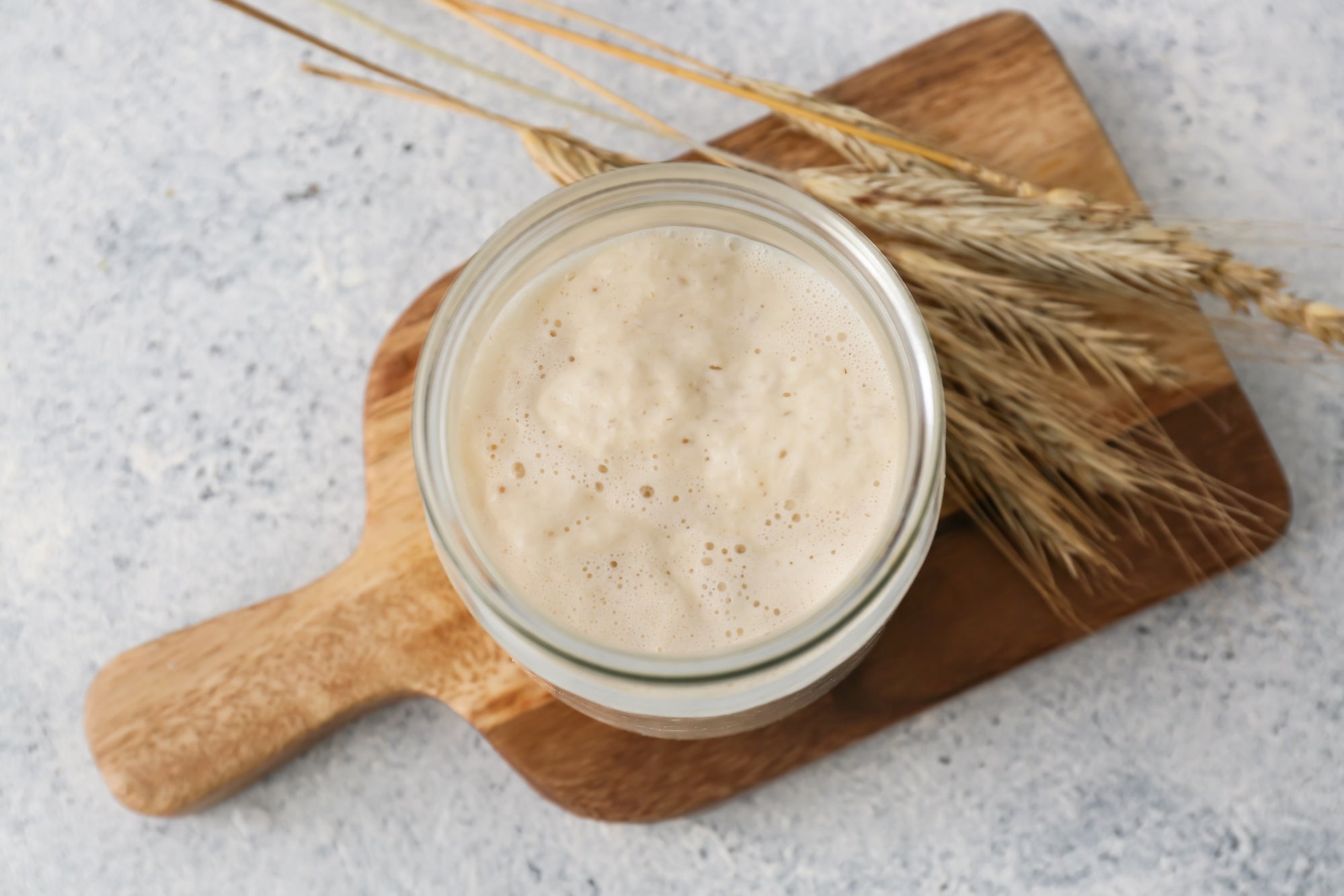 Sourdough Starter – Living Foods Farm Sourdough starter near me