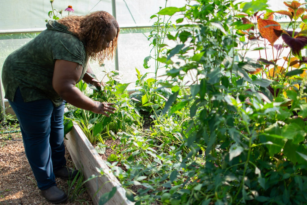 When to Plant a Fall Garden in Zone 7