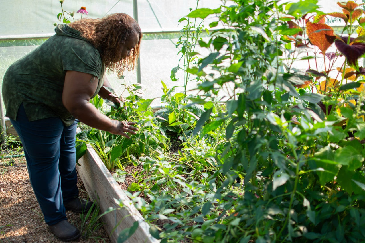 When to Plant a Fall Garden in Zone 7