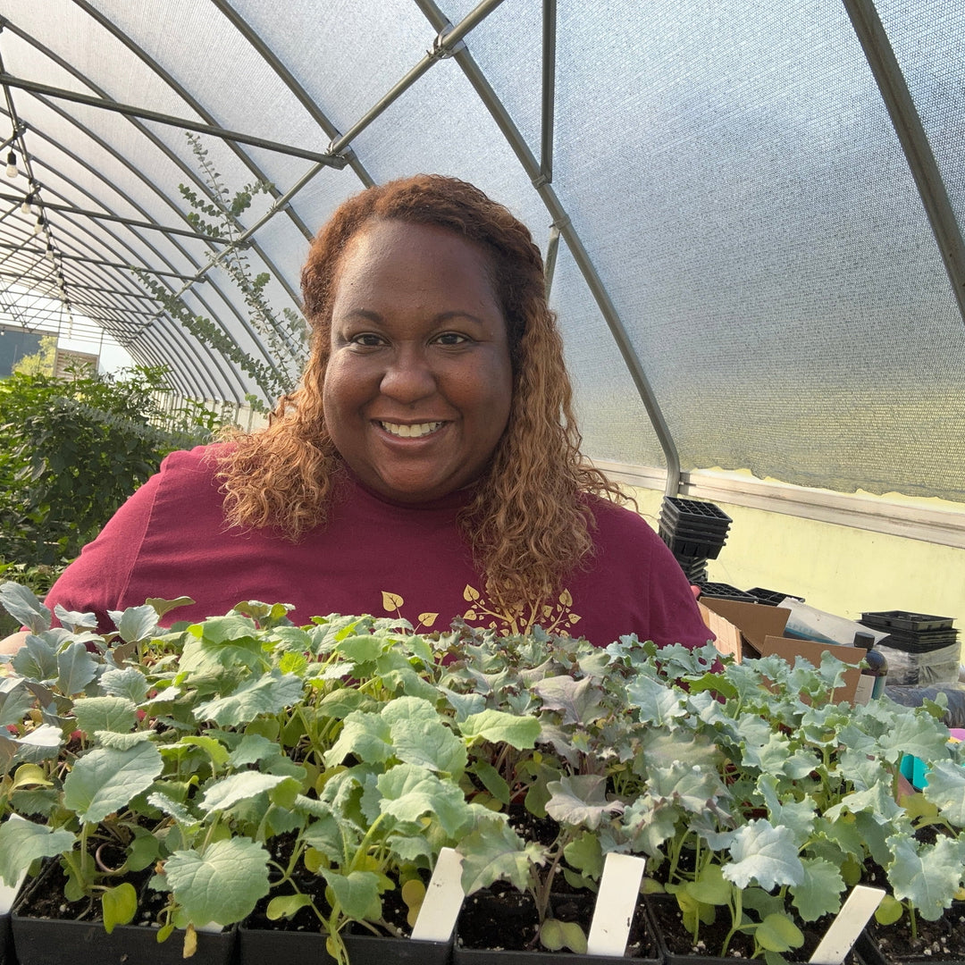 5 Easy Vegetables to Grow in Small Spaces