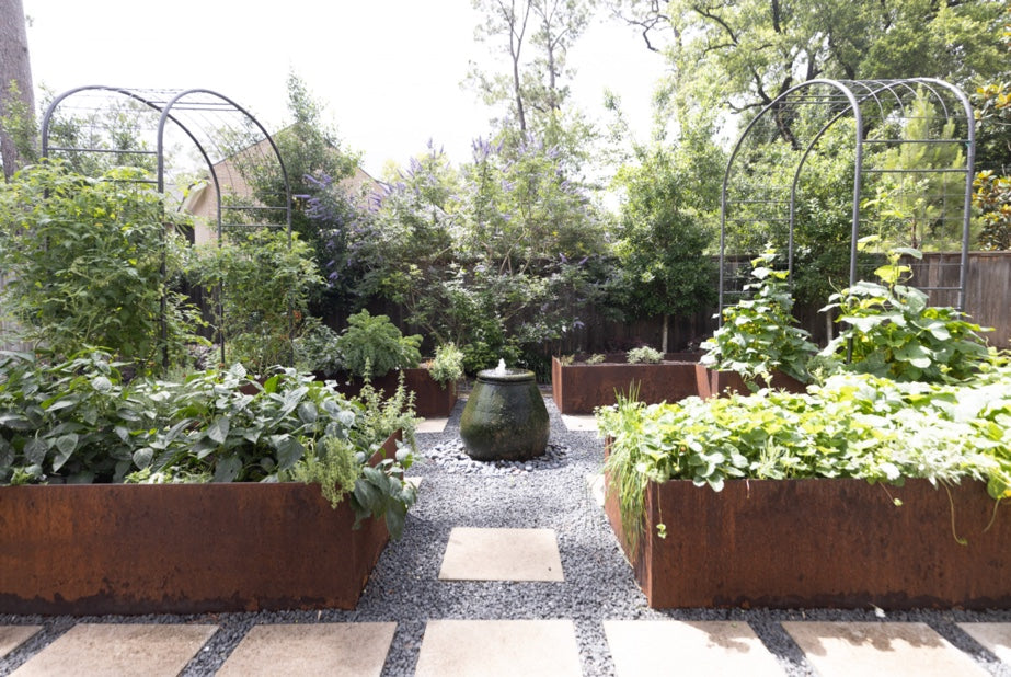 Kitchen Garden Ideas and Benefits