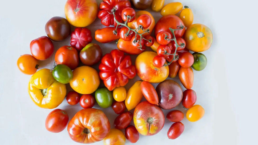 Tomatoes