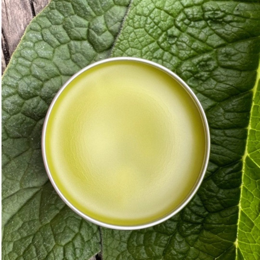 Comfrey Salve