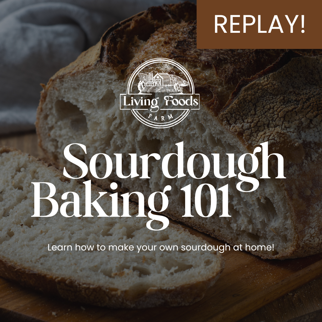 Sourdough Baking 101