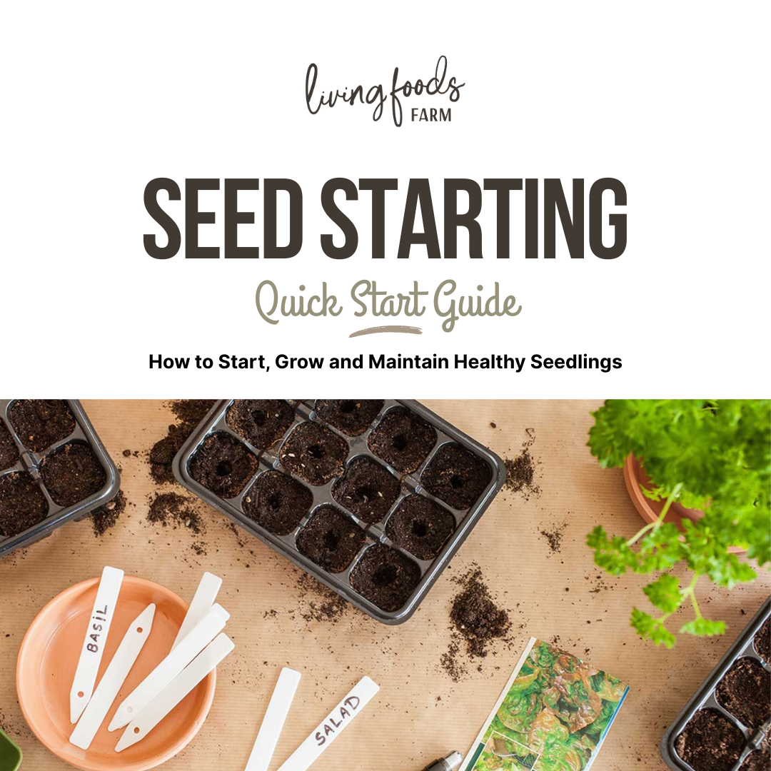 Seed Starting Quick Guide
