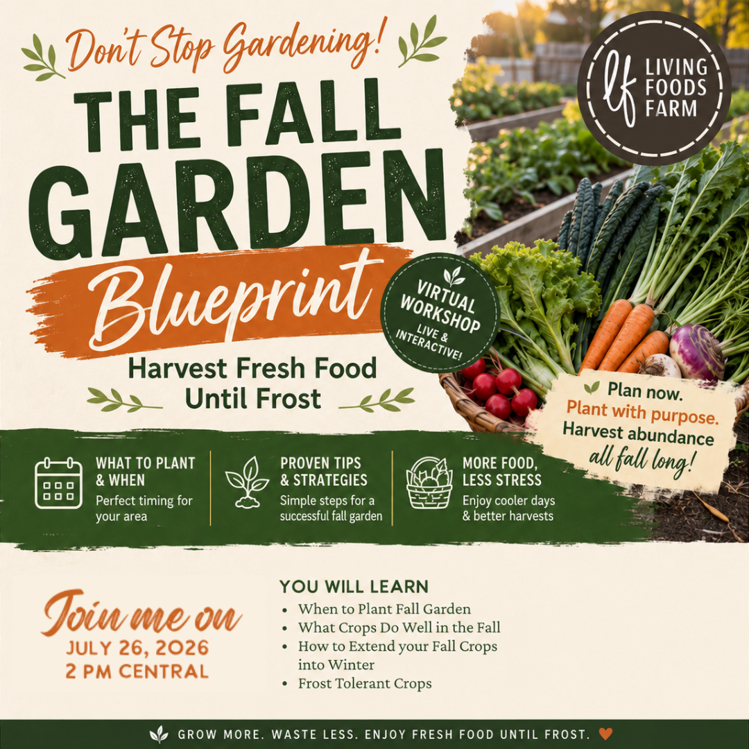Fall Gardening Workshop | Learn to Grow a Productive Fall Garden