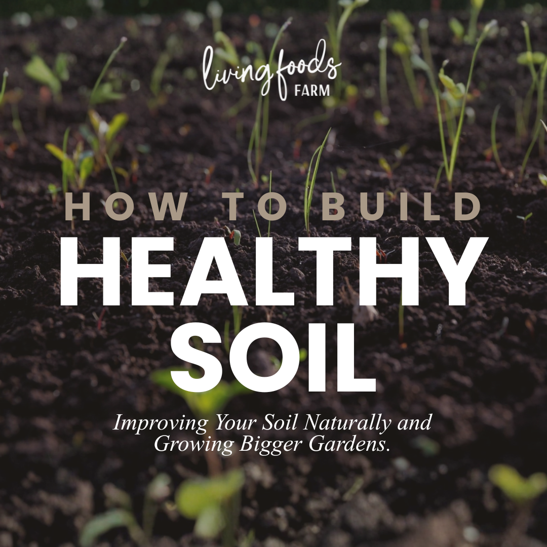 How to Build Healthy Soil
