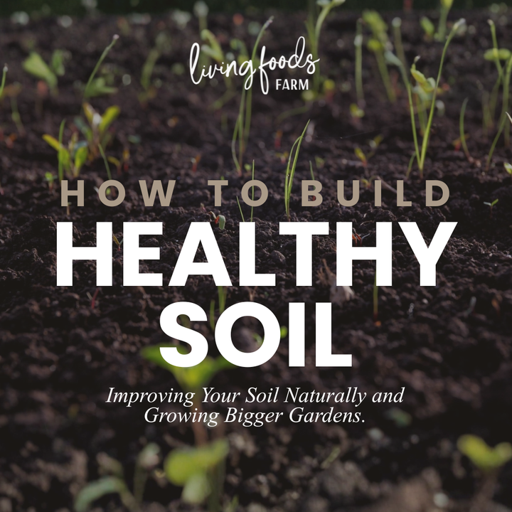 How to Build Healthy Soil
