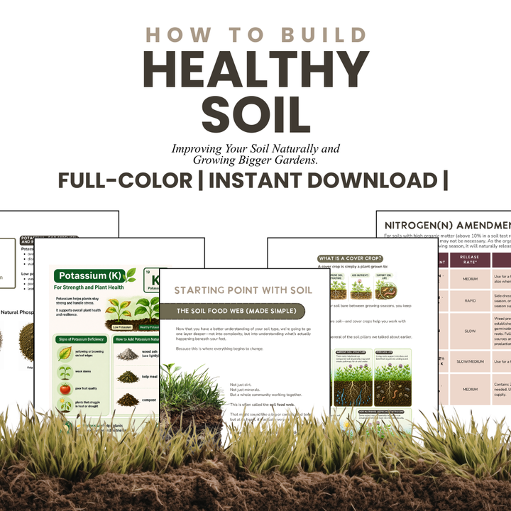 How to Build Healthy Soil
